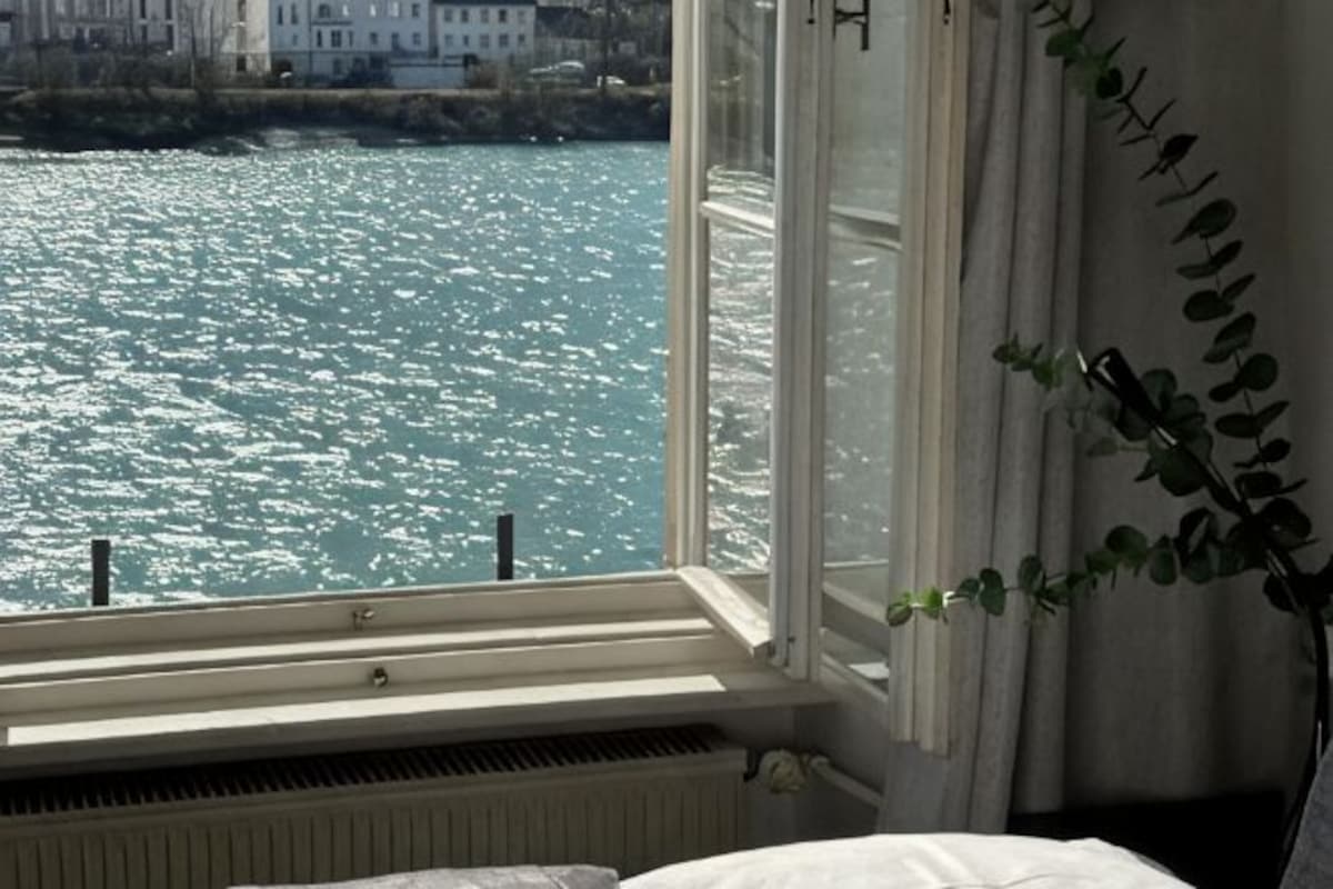 Habitación con ventana que da a una masa de agua, un radiador debajo y una planta en el alféizar.