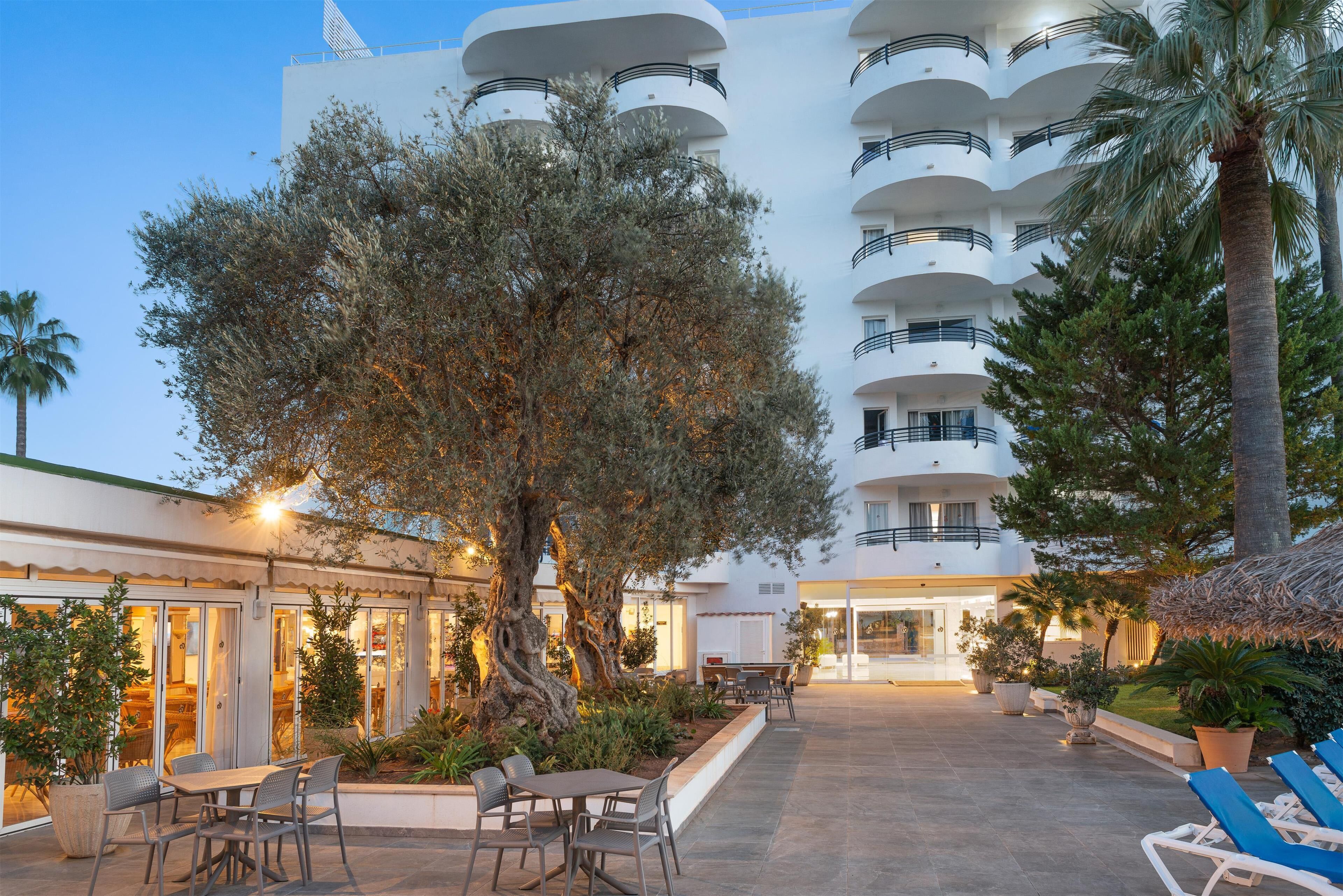A modern hotel with a courtyard featuring outdoor seating, a large tree, and a pool area.