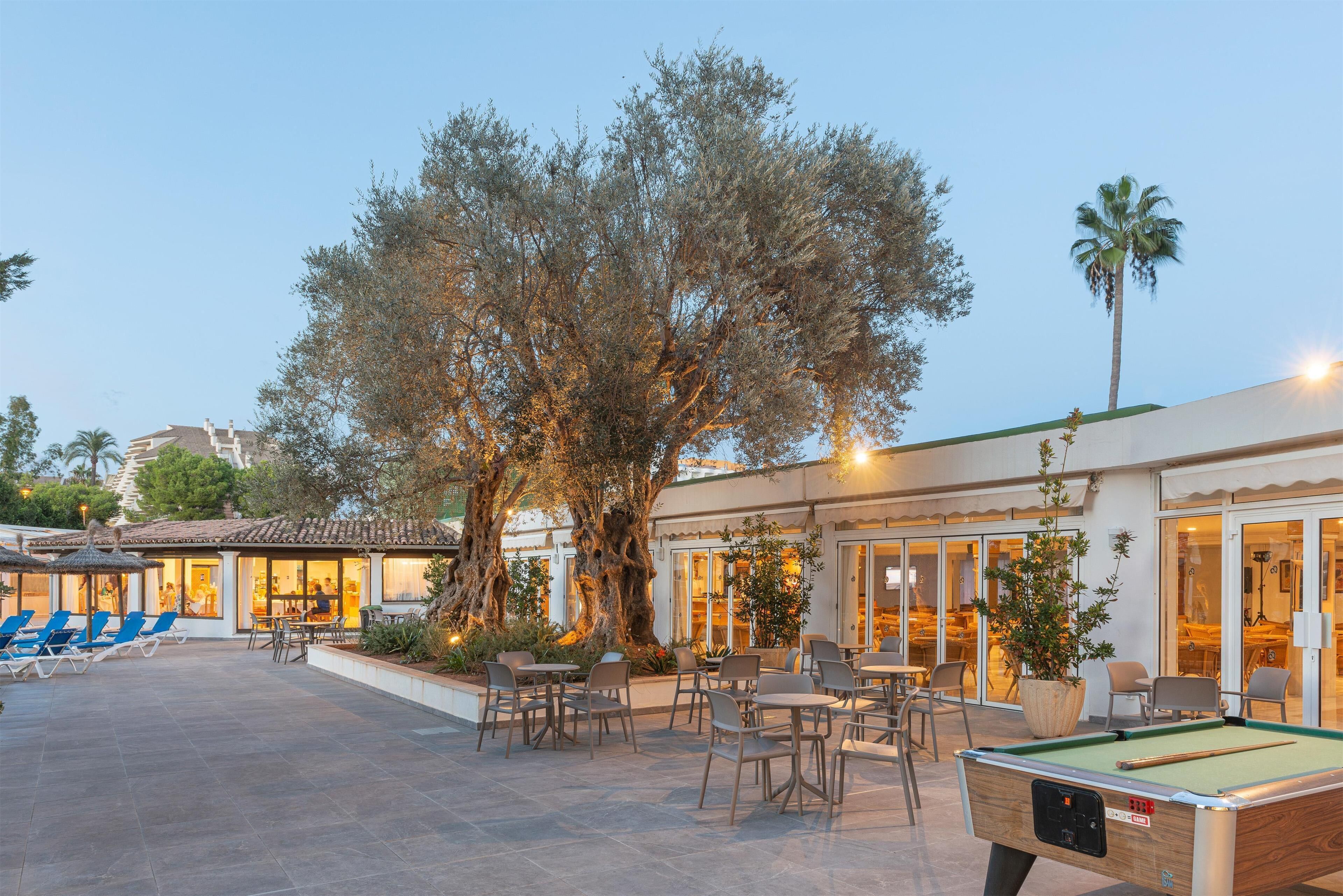 Terrace/patio