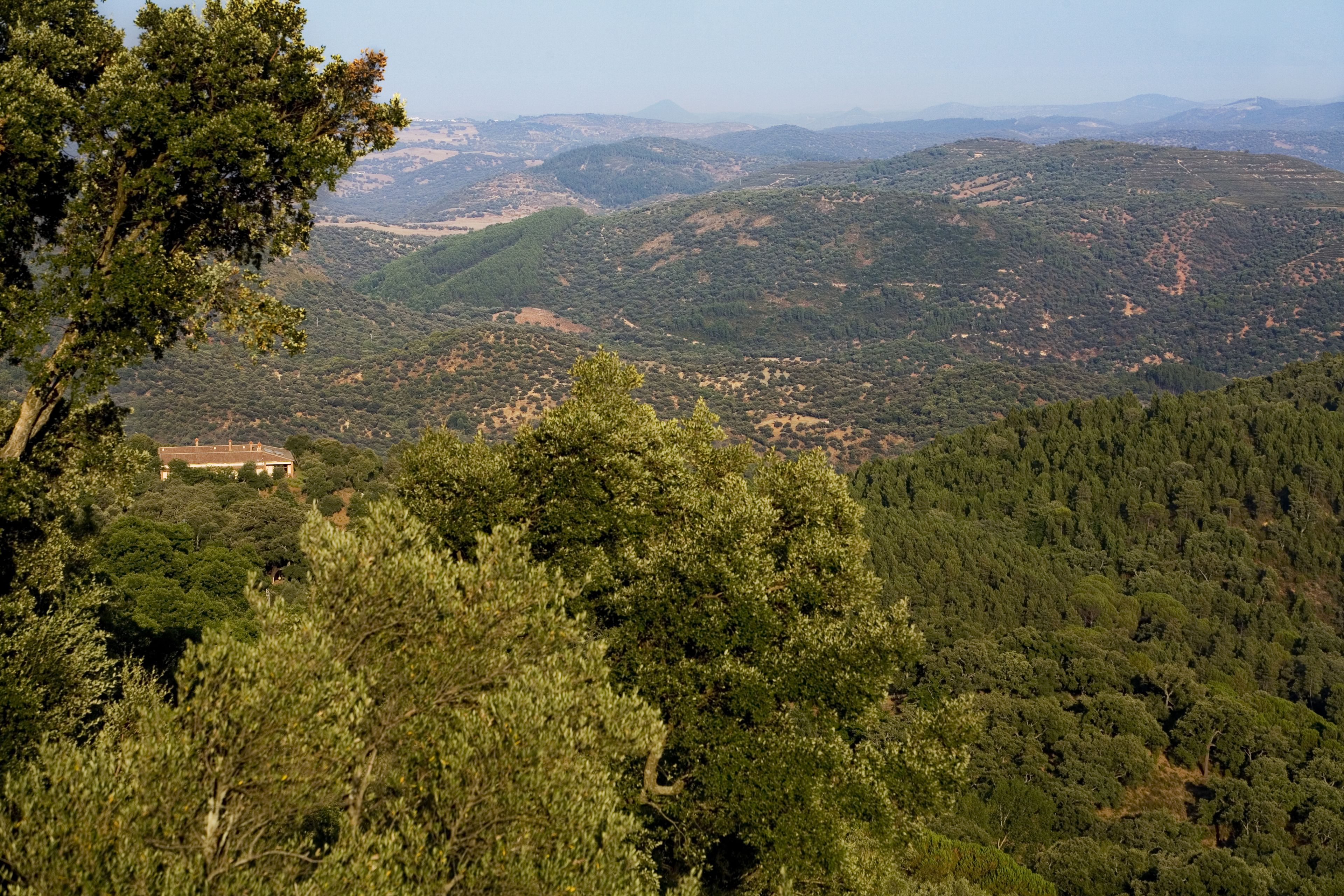 Foto - Finca La Fronda