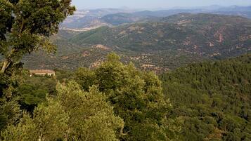 A mountainous landscape with dense forestation and a building partially obscured by trees.