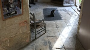 Een interieur met stenen muren, een poster, een deur met een ankersymbool, een kat op een mat en een trap.