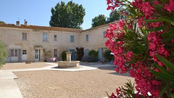 Cour