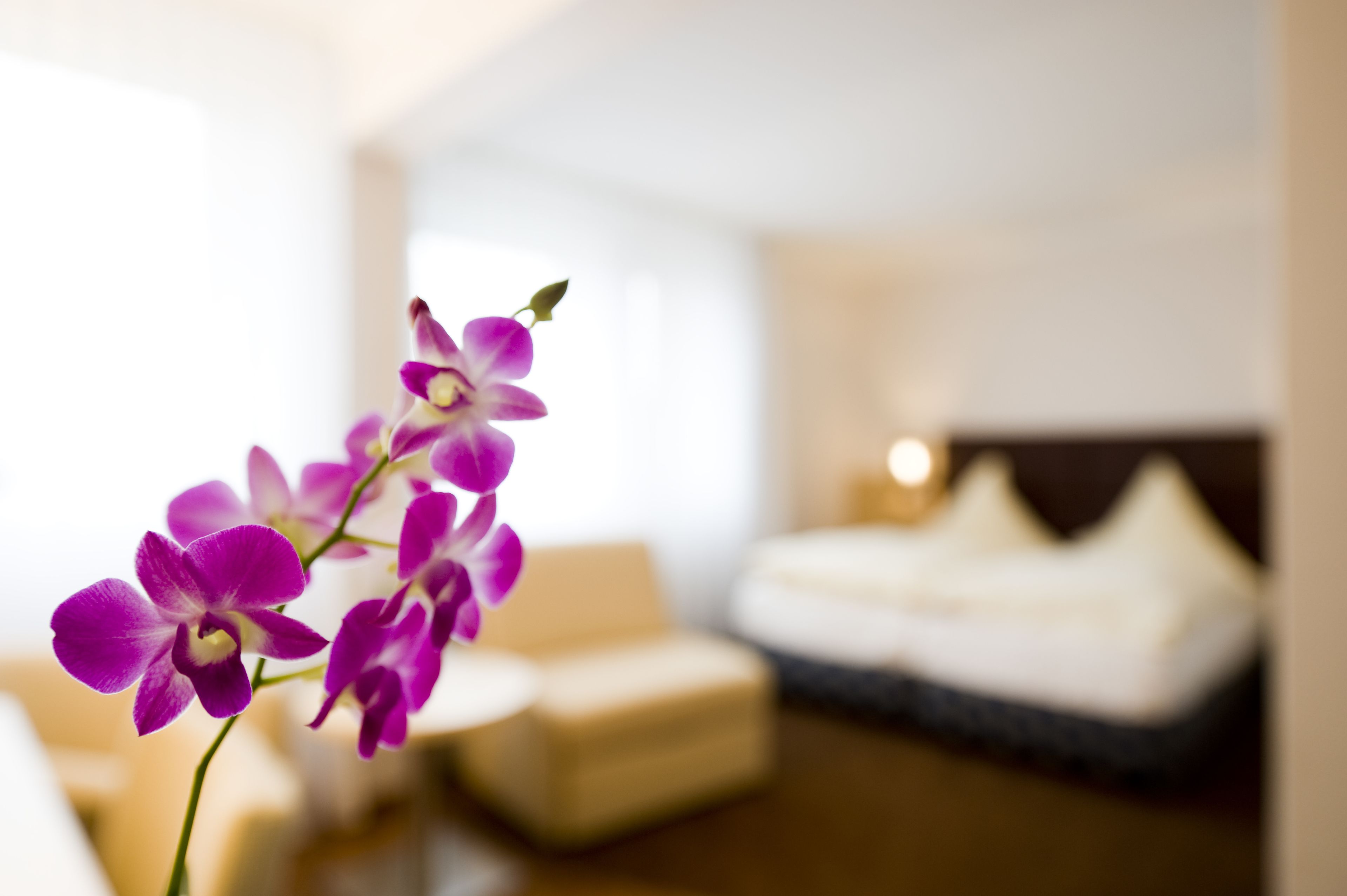 comfort double room single use | premium bedding, memory-foam beds, minibar, in-room safe