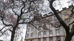 Un immeuble à plusieurs étages, avec une enseigne indiquant un restaurant chinois et portant le nom « MAUERWERK ».