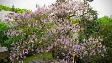 Overnatningsstedets område