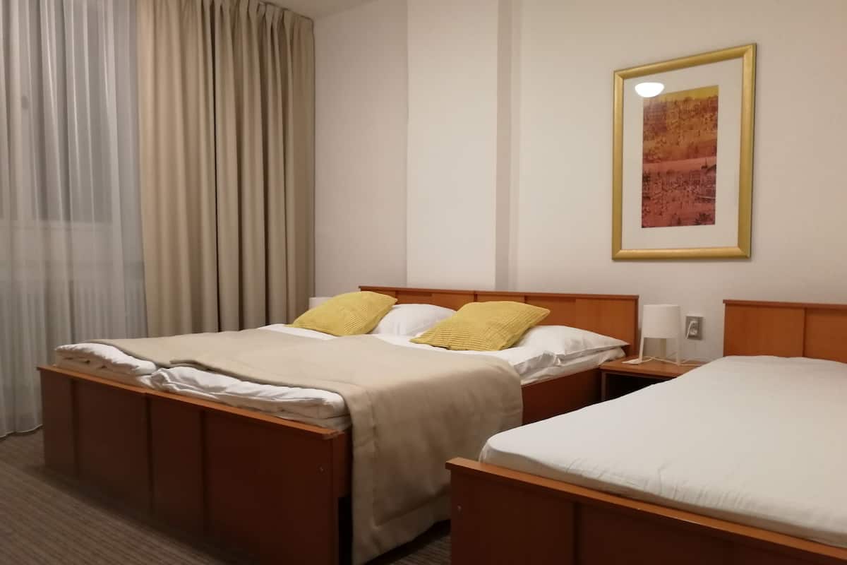 Driepersoonskamer | Een kluis op de kamer, een strijkplank/strijkijzer, gratis wifi