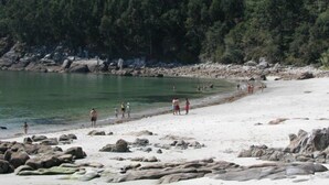 Una playa con costa rocosa, agua cristalina y un bosque denso al fondo.