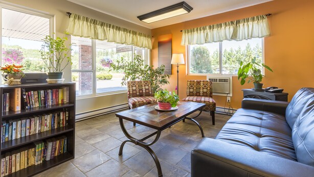 Una sala de estar acogedora con un sofá de cuero, una mesita de centro y una estantería llena de libros. Hay dos sillones, una lámpara y una planta en maceta.