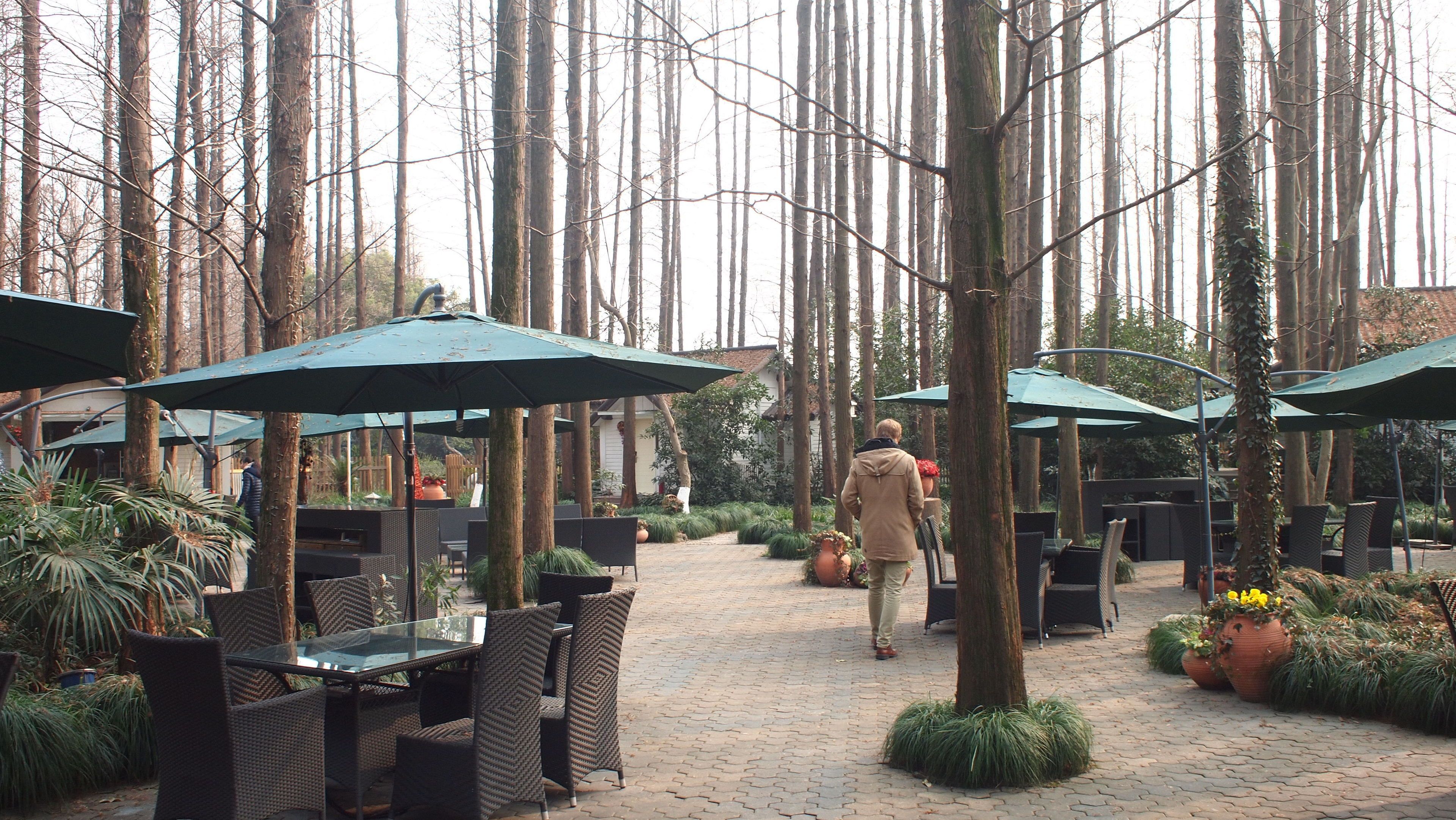 breakfast, lunch, dinner served; chinese cuisine, al fresco dining