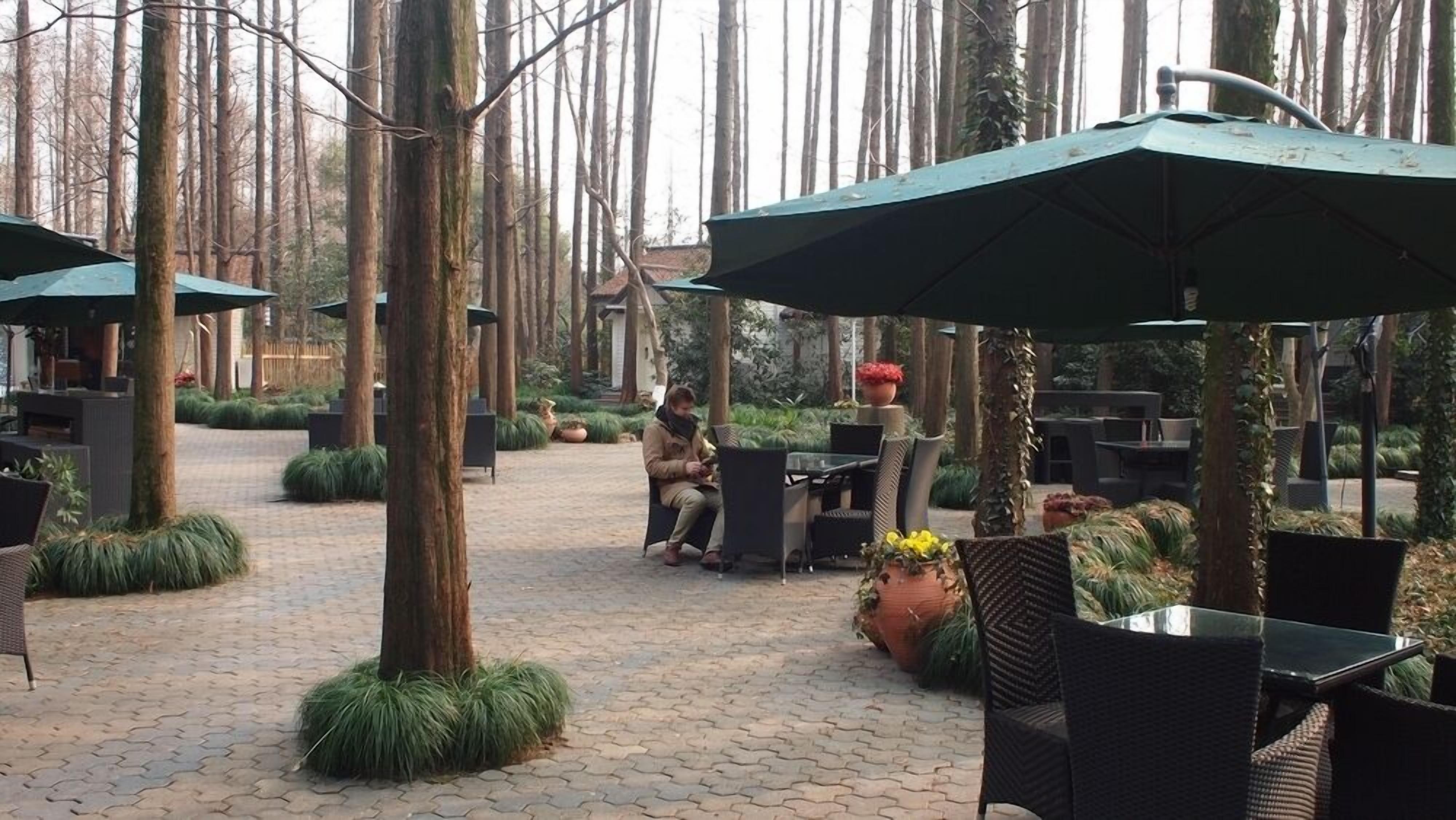 breakfast, lunch, dinner served; chinese cuisine, al fresco dining