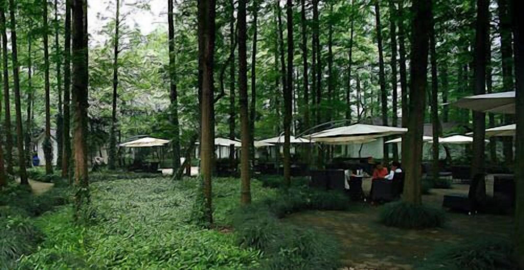 breakfast, lunch, dinner served; chinese cuisine, al fresco dining