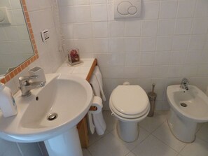 Hair dryer, bidet, towels