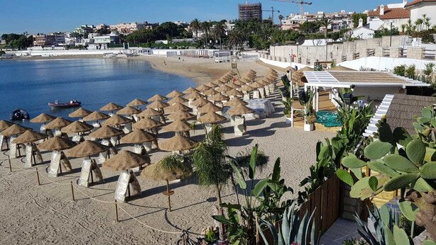 Beach nearby, beach bar - No Tag (Trani)