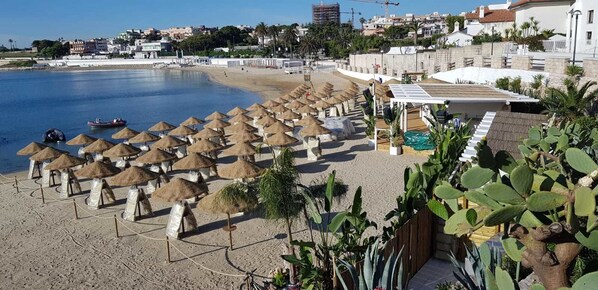 Plage à proximité, bar de plage