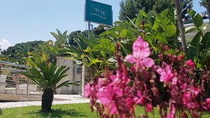 Exterior - No Tag (Trani)