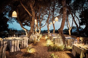 An outdoor dining area with tables and chairs arranged under trees, illuminated by hanging lanterns.