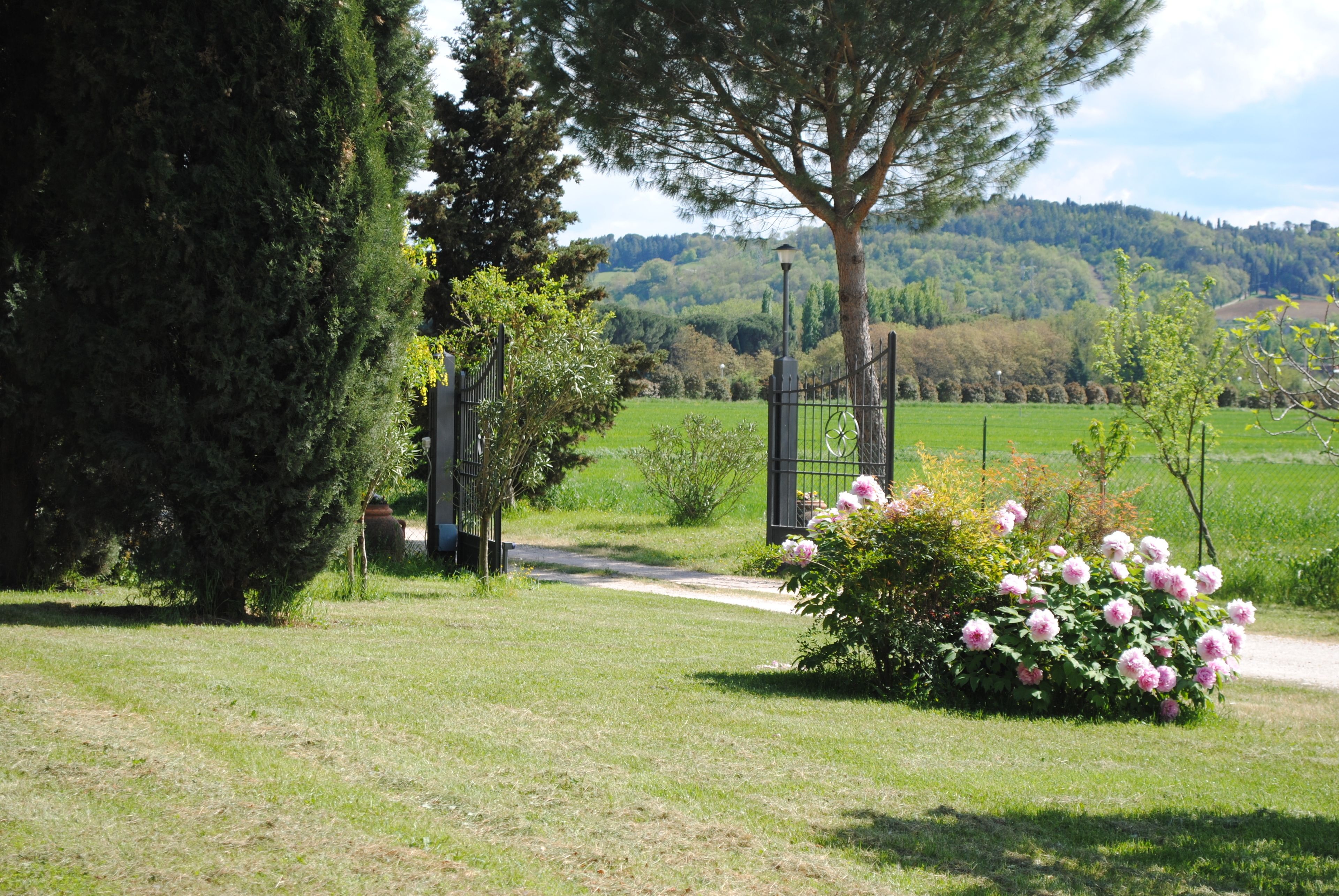 A pathway leading through a garden with a metal gate, surrounded by lush greenery and flowering bushes.