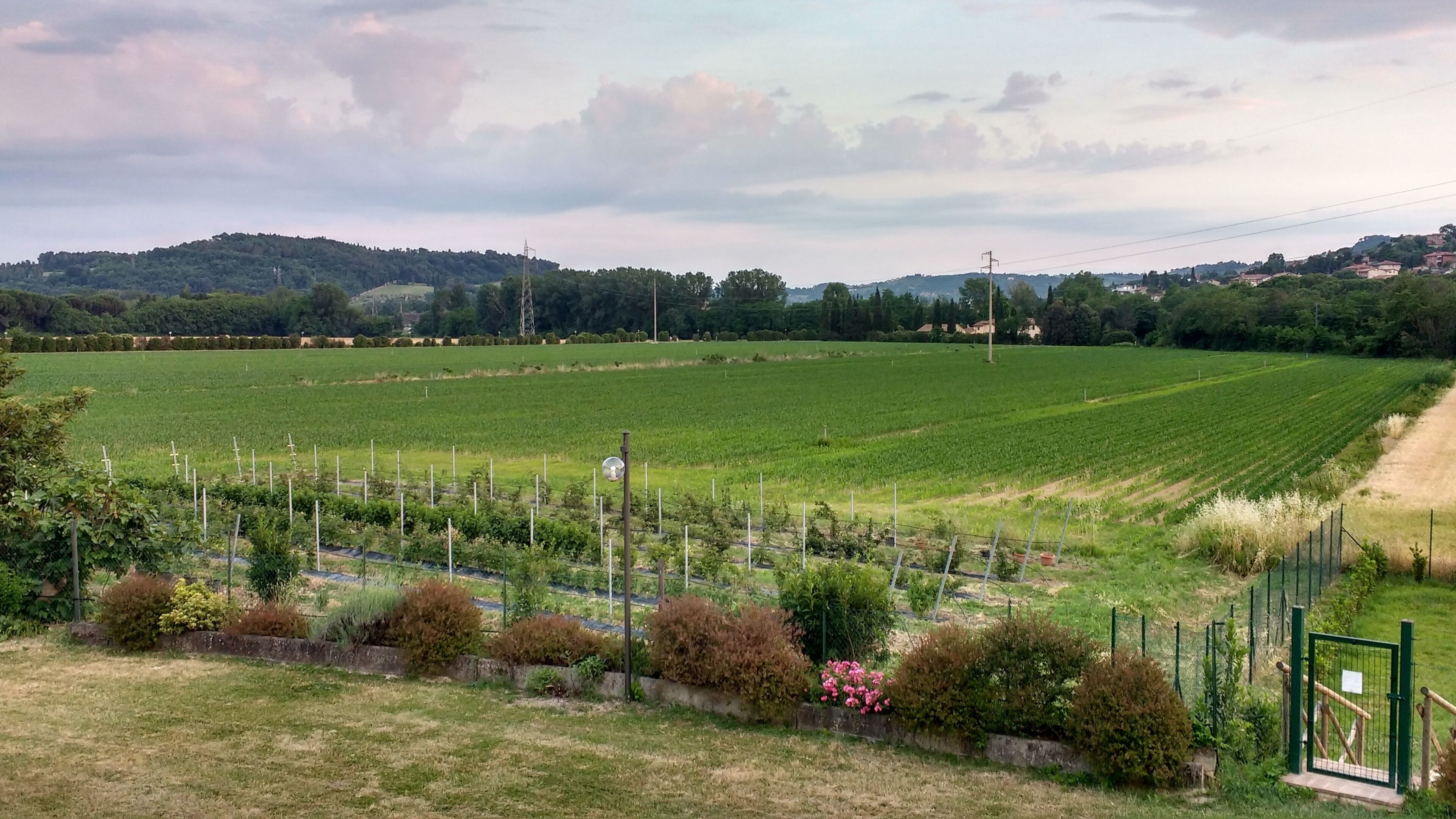 Foto - Agriturismo Ai Prati