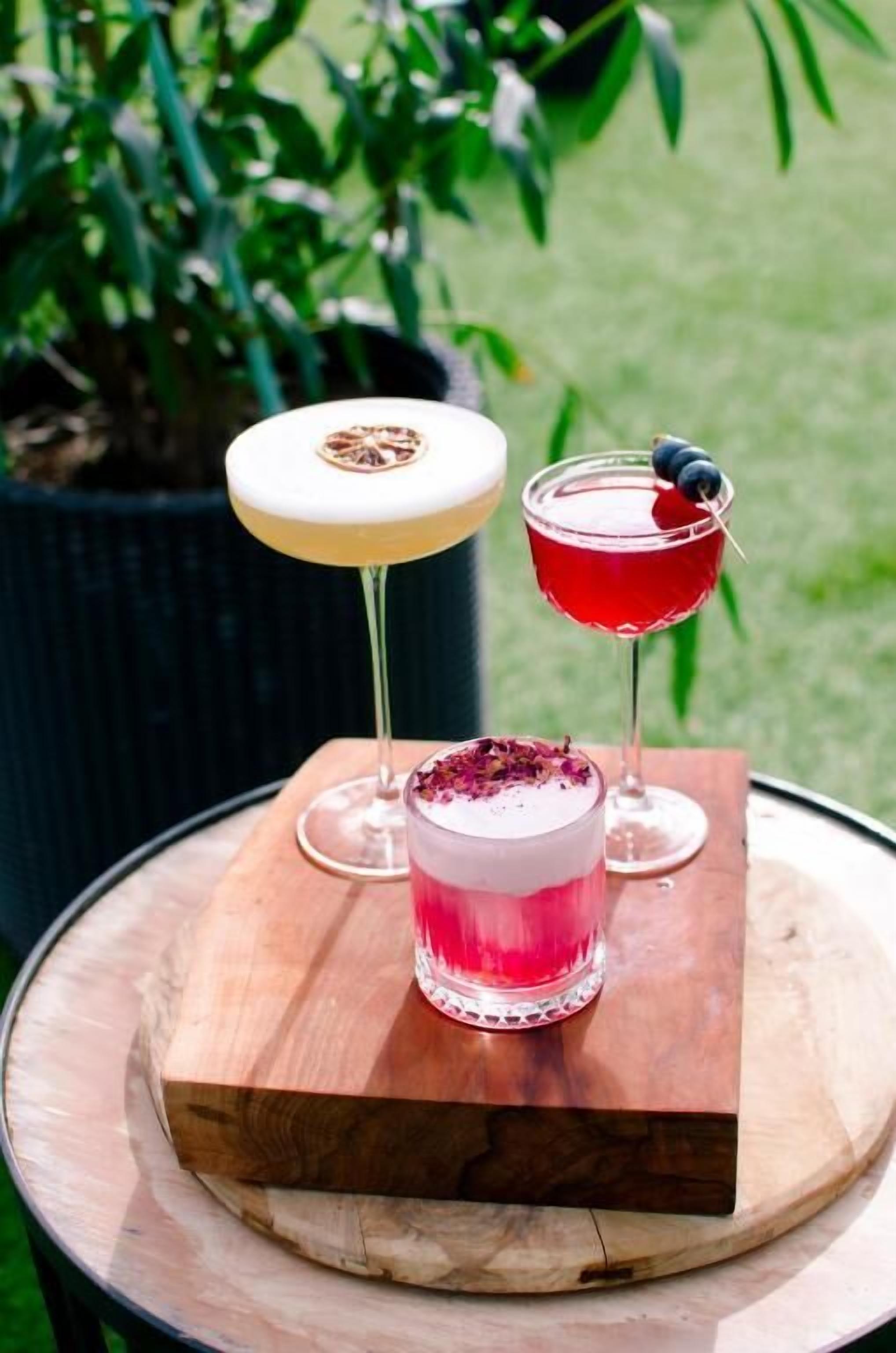 Three cocktails on a wooden board with a potted plant in the background.