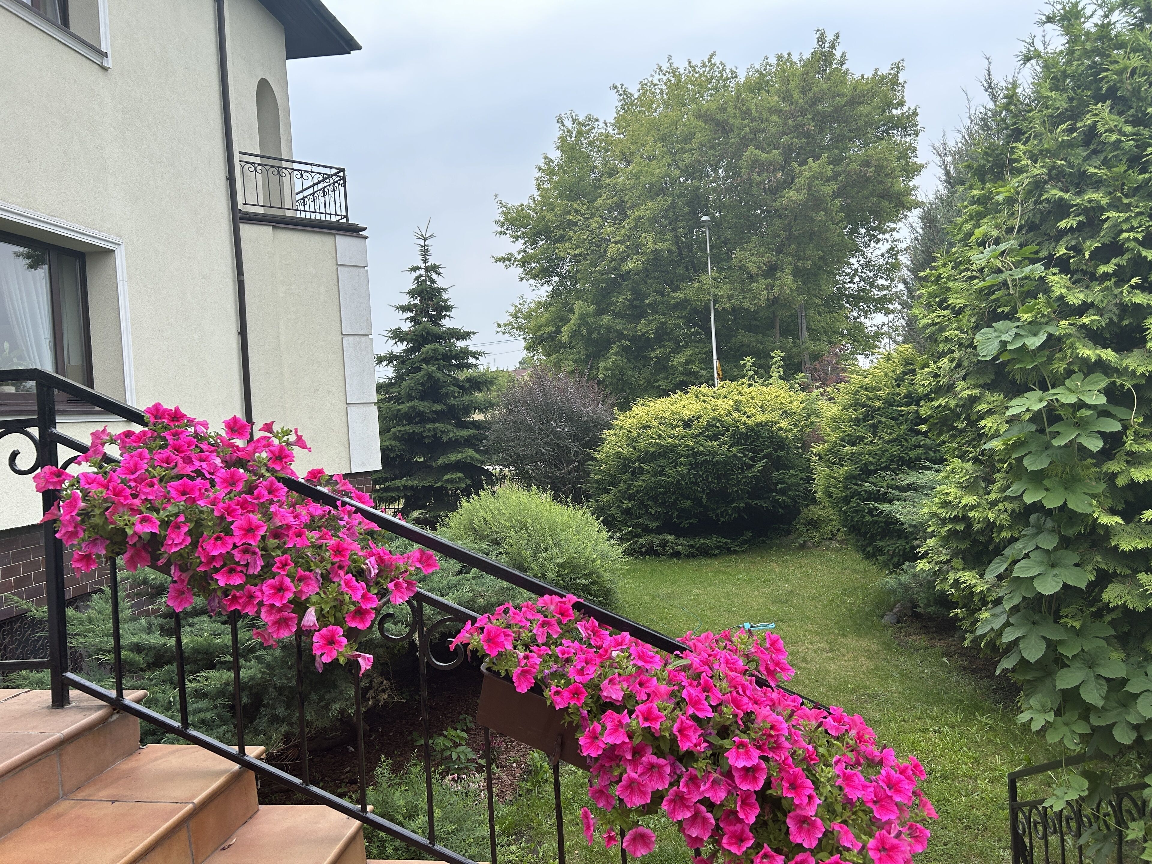 Foto - Hotel Arkadia