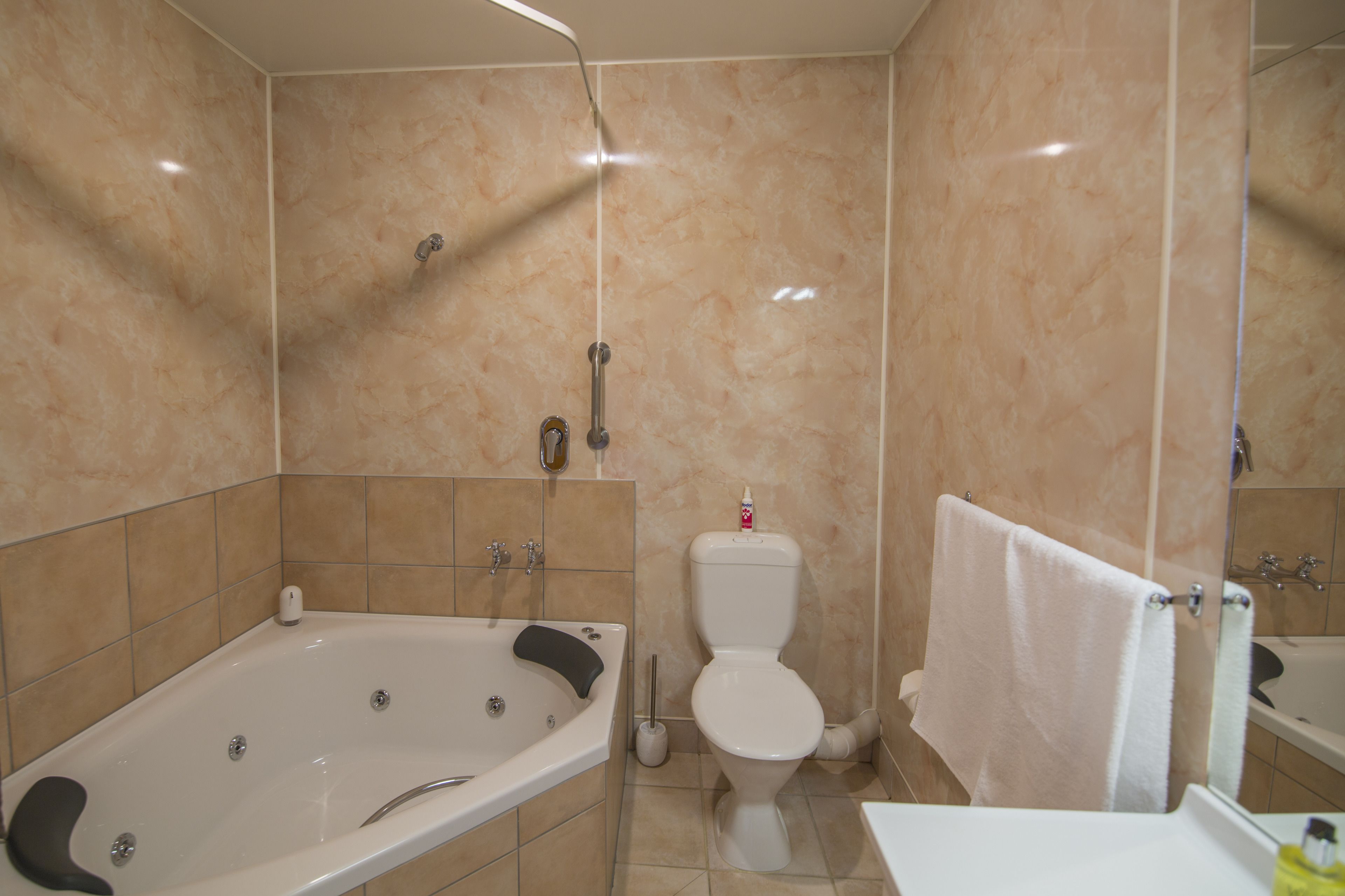 studio, jetted tub | bathroom | shower, free toiletries, hair dryer, towels