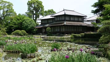 Utsikt fra overnattingsstedet