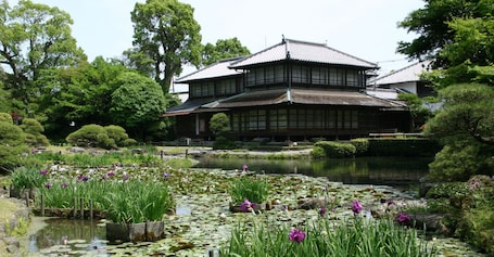 Vista al paisaje. Yatsushiro Grand Hotel