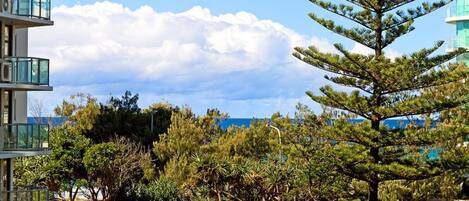 Pemandangan dari properti