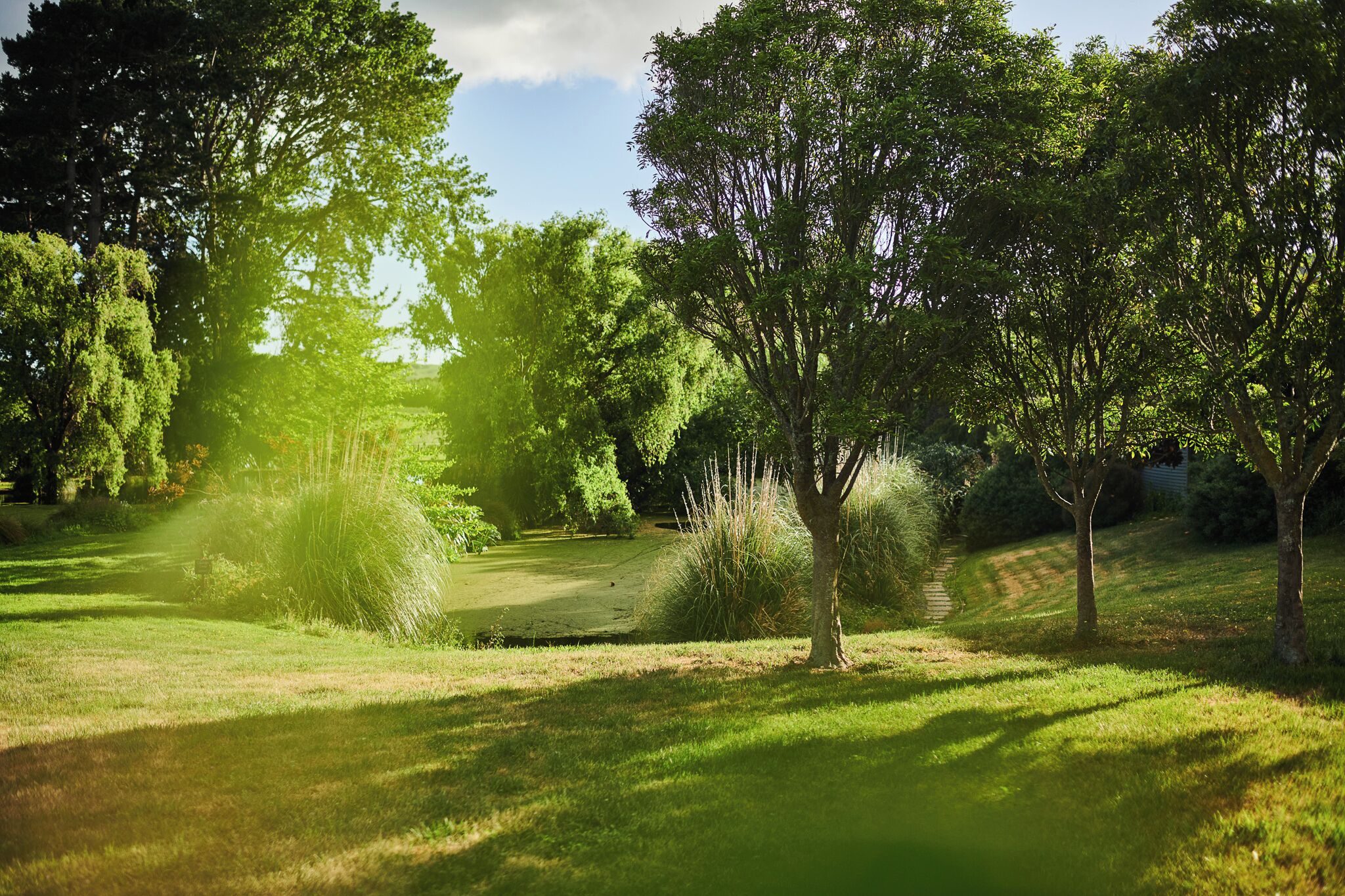 A well-maintained golf course with lush greenery and a clear path.
