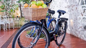 Ein Fahrrad mit Korb voller Obst, abgestellt auf einem Kachelboden.