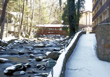 Brookside Lodge - Image 60