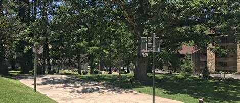 Una cancha de baloncesto con aro, rodeada de árboles y un edificio al fondo.