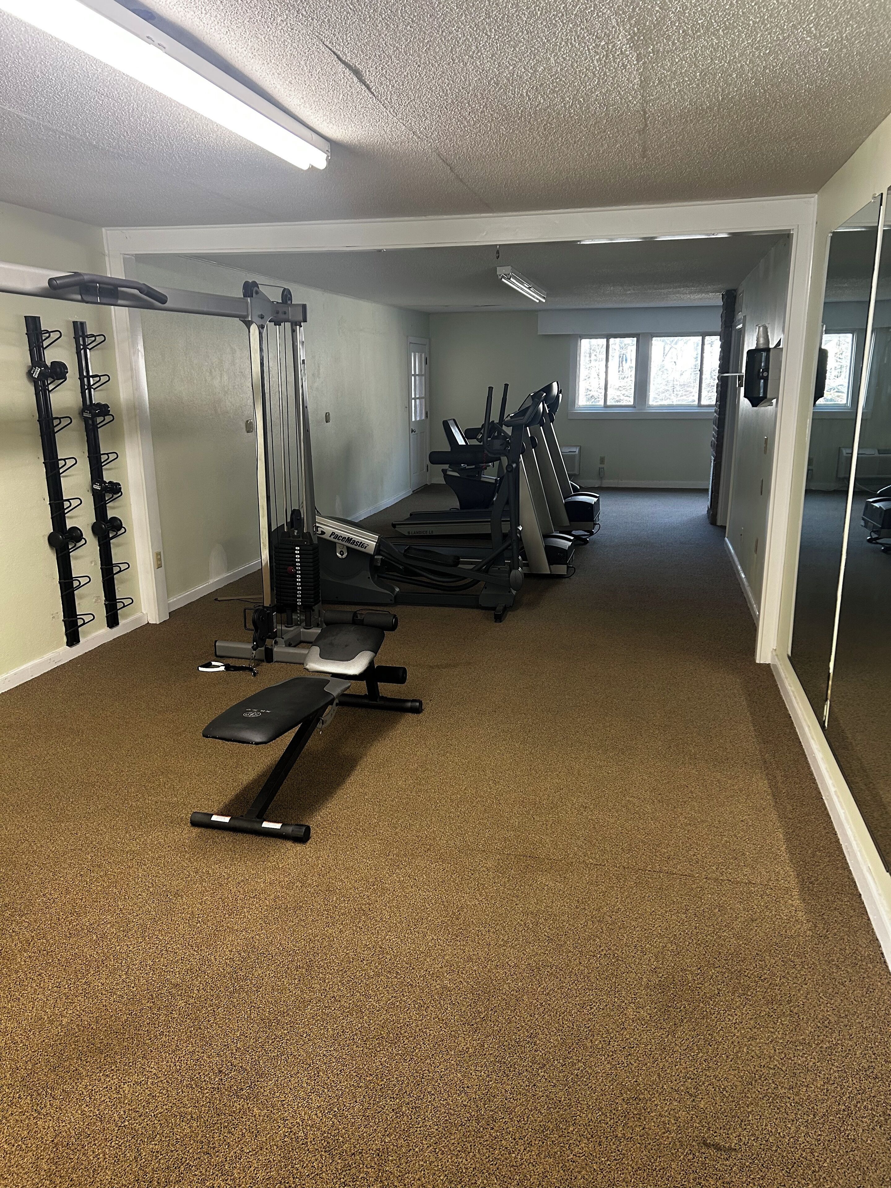 Un gimnasio con equipo cardiovascular, máquinas de pesas y un banco.