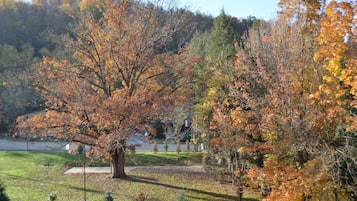 Un parque con árboles otoñales, un área verde y un cuerpo de agua al fondo.