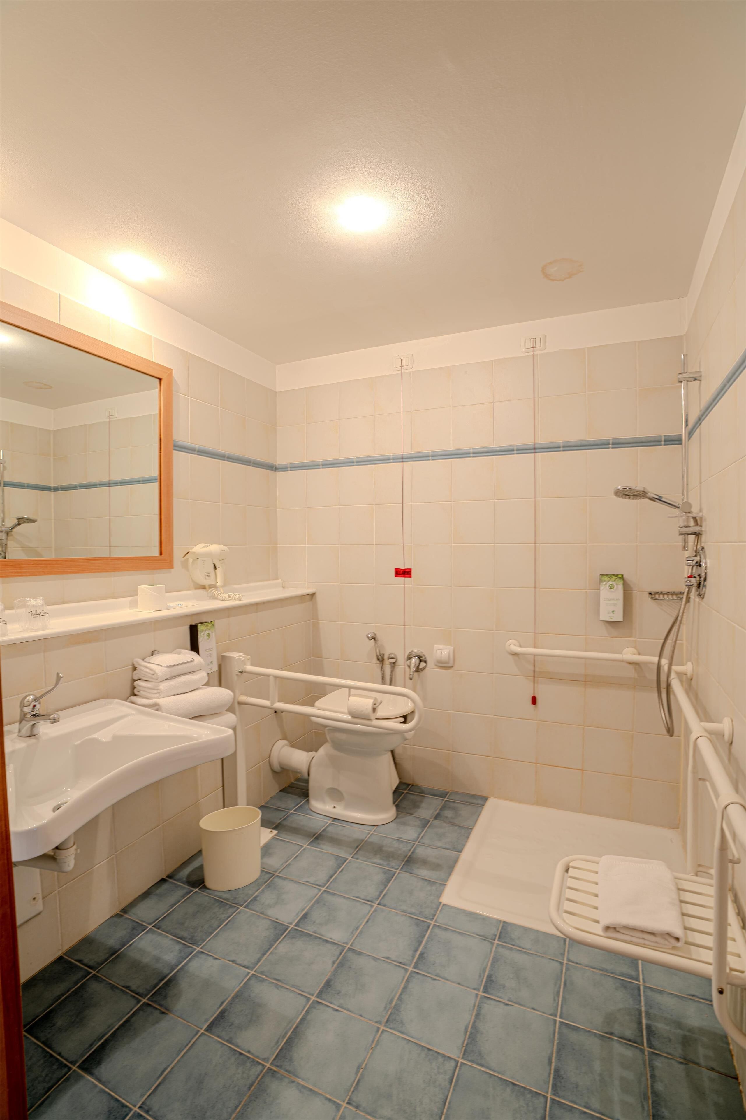 Kamer, 2 eenpersoonsbedden, toegankelijk voor rolstoelgebruikers | Badkamer | Een douche,  milieuvriendelijk toiletgerief, een haardroger, badjassen