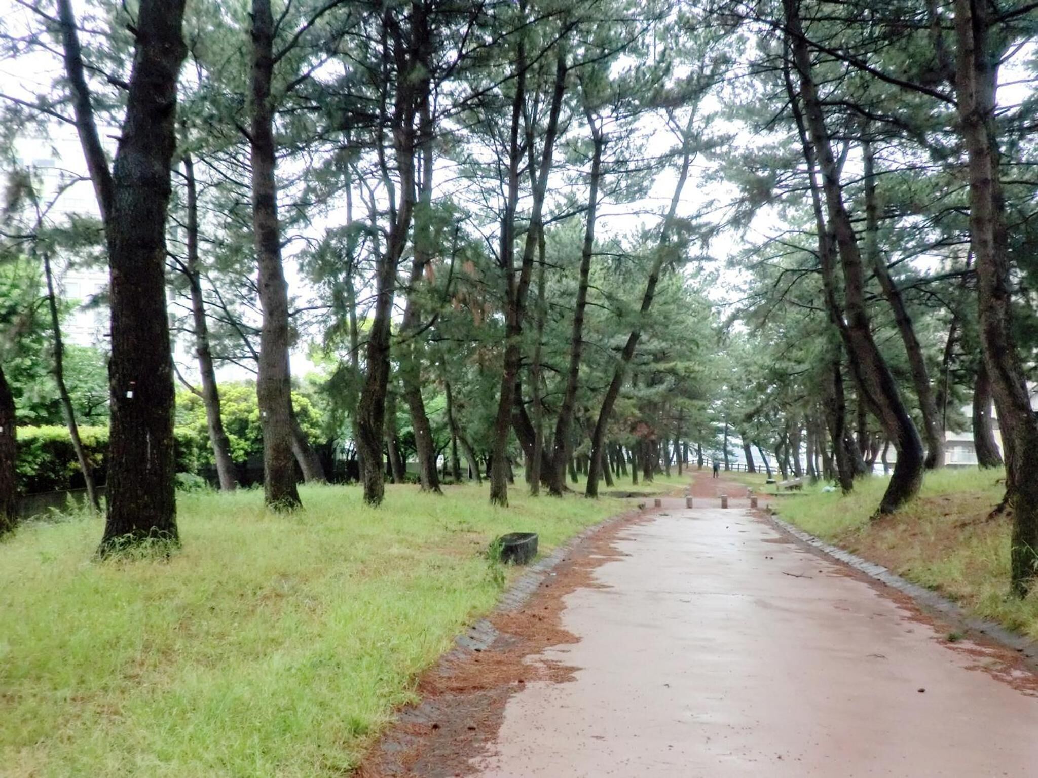 Photo - Hotel Crown Palais Kitakyushu