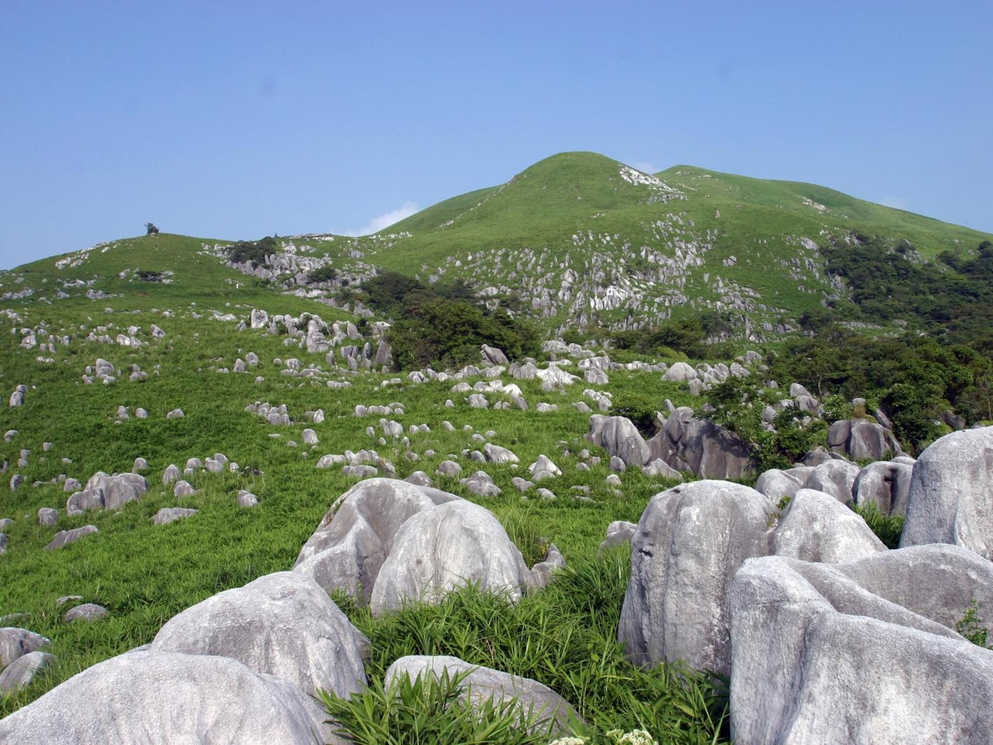 Photo - Hotel Crown Palais Kitakyushu