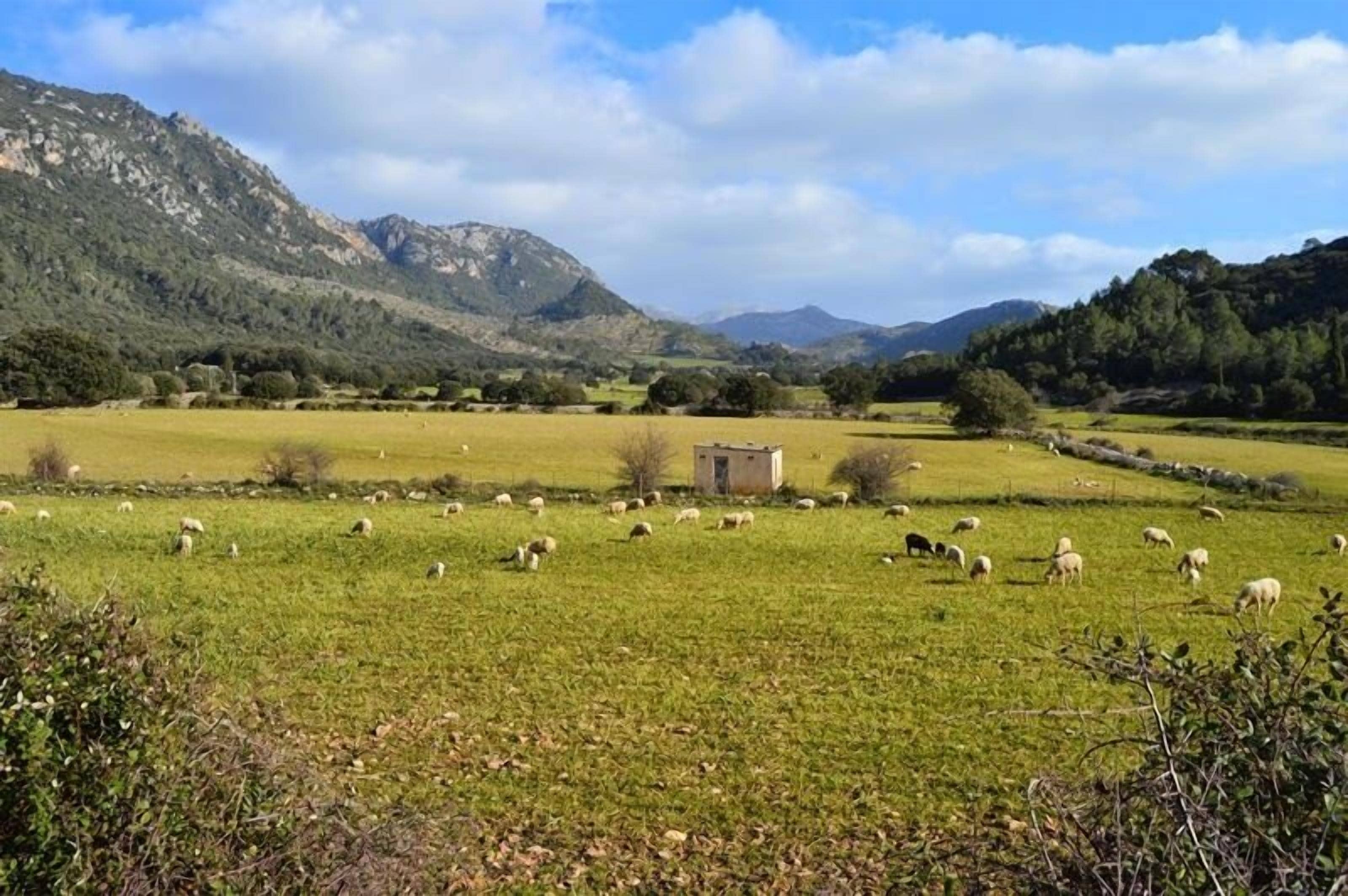 Photo - Hostal Ca'n Tiu