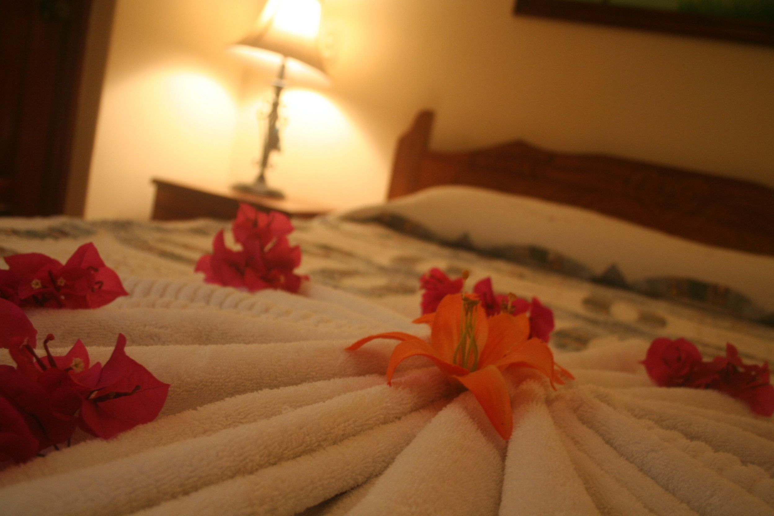 body treatments, deep-tissue massages, sports massages, body wraps