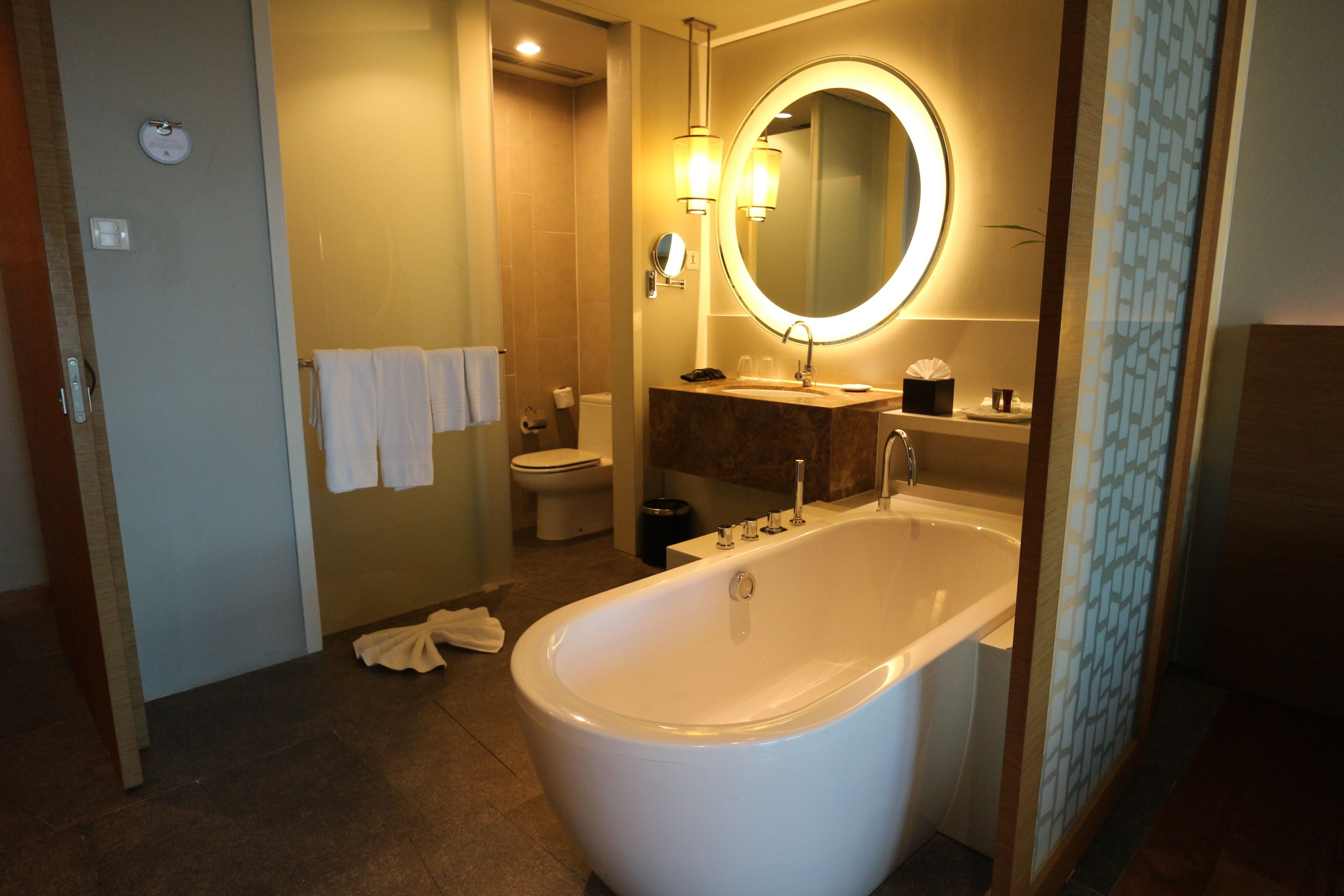 A modern bathroom with a freestanding bathtub, a large mirror, and a toilet.