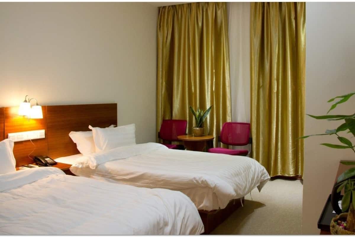 A hotel room with two beds, a bedside table with a lamp, a telephone, a small table with a plant, and a TV on the wall.