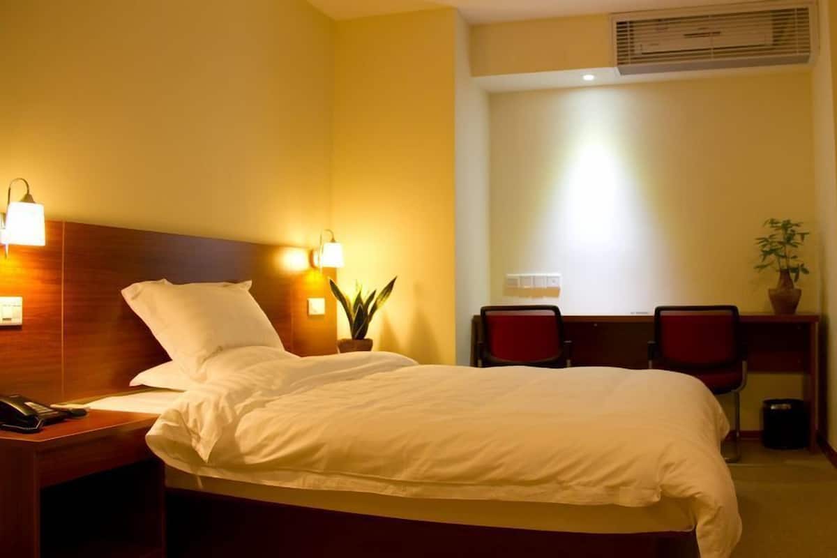 A hotel room with a bed, bedside table, lamp, chair, desk, and potted plant.