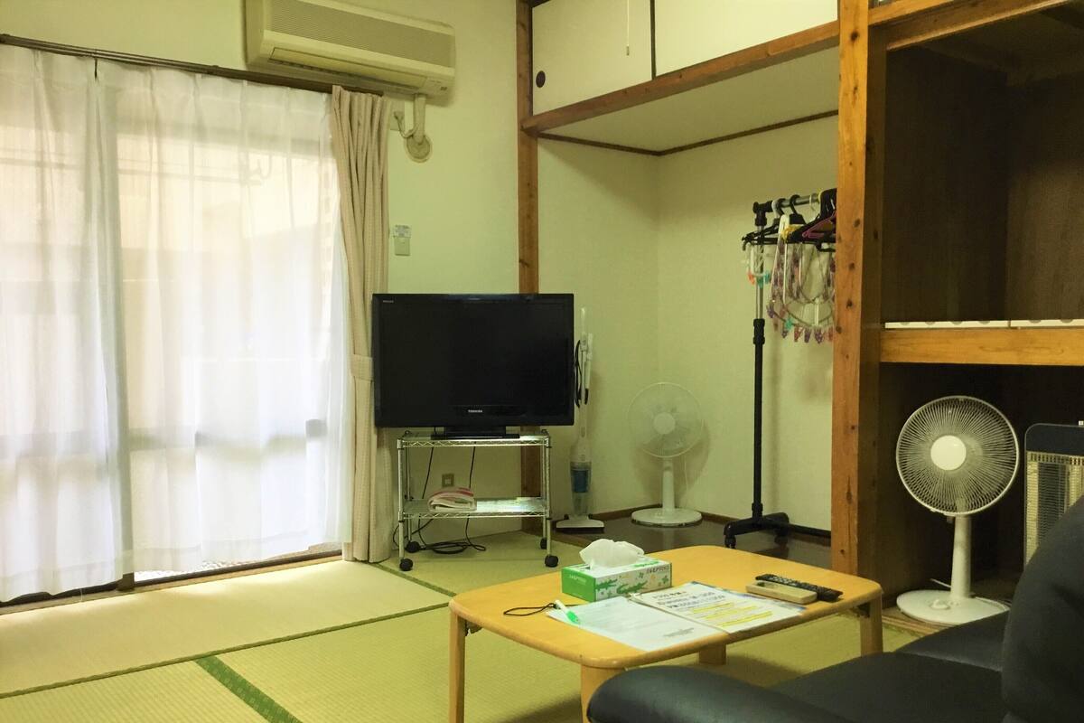A living room with tatami mats, a television, a standing fan, and a sofa.