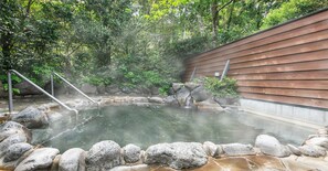 Hot springs - Hotel Kirishima Castle (Kirishima)