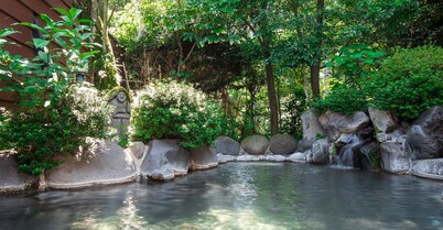 Hotel Kirishima Castle