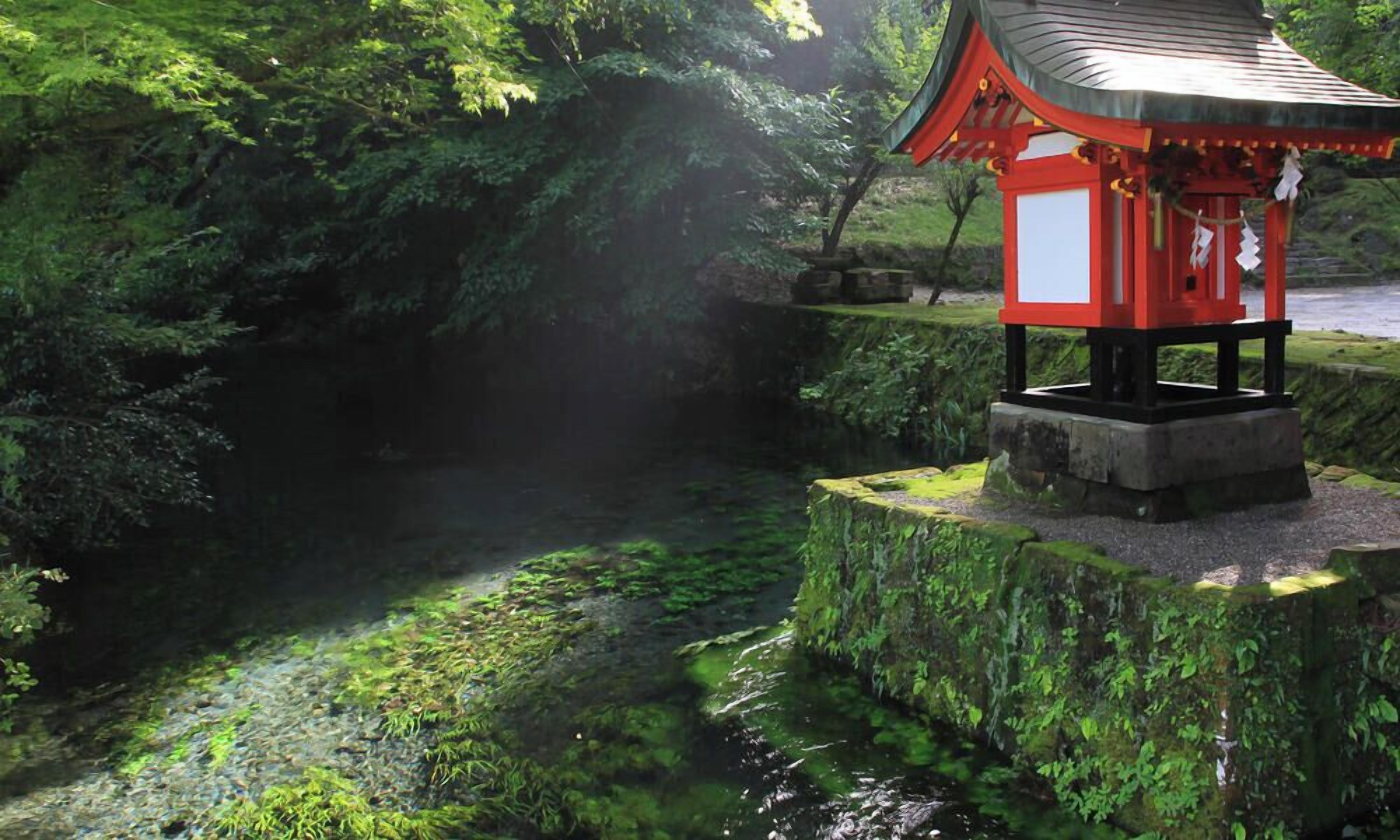 Uma estrutura tradicional de torii japonês com esquema de cores vermelho e preto, rodeada por vegetação exuberante e um pequeno riacho.