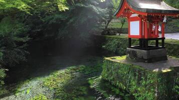 Uma estrutura tradicional de torii japonês com esquema de cores vermelho e preto, rodeada por vegetação exuberante e um pequeno riacho.