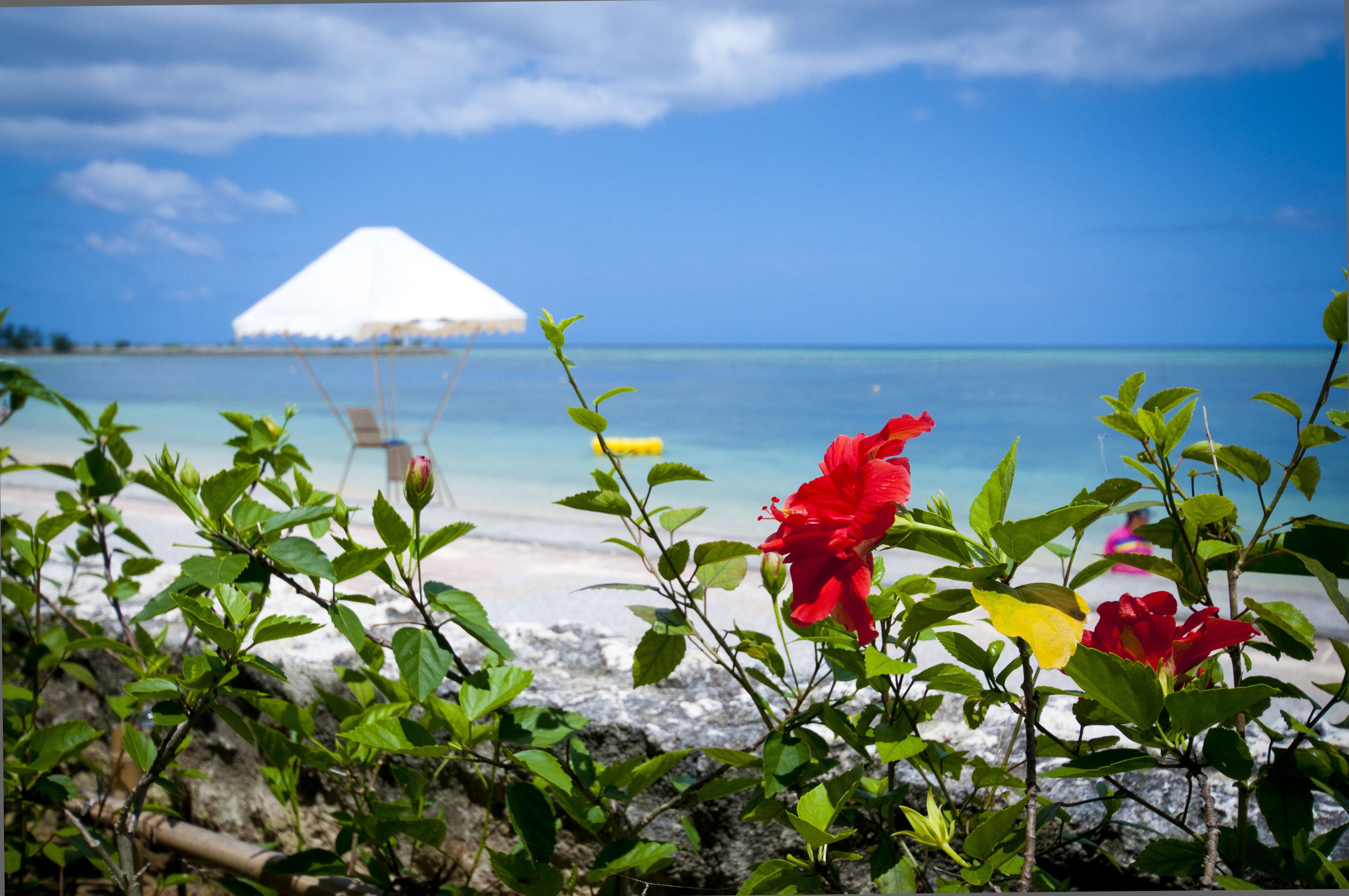 Foto - Rizzan Sea Park Hotel Tancha Bay