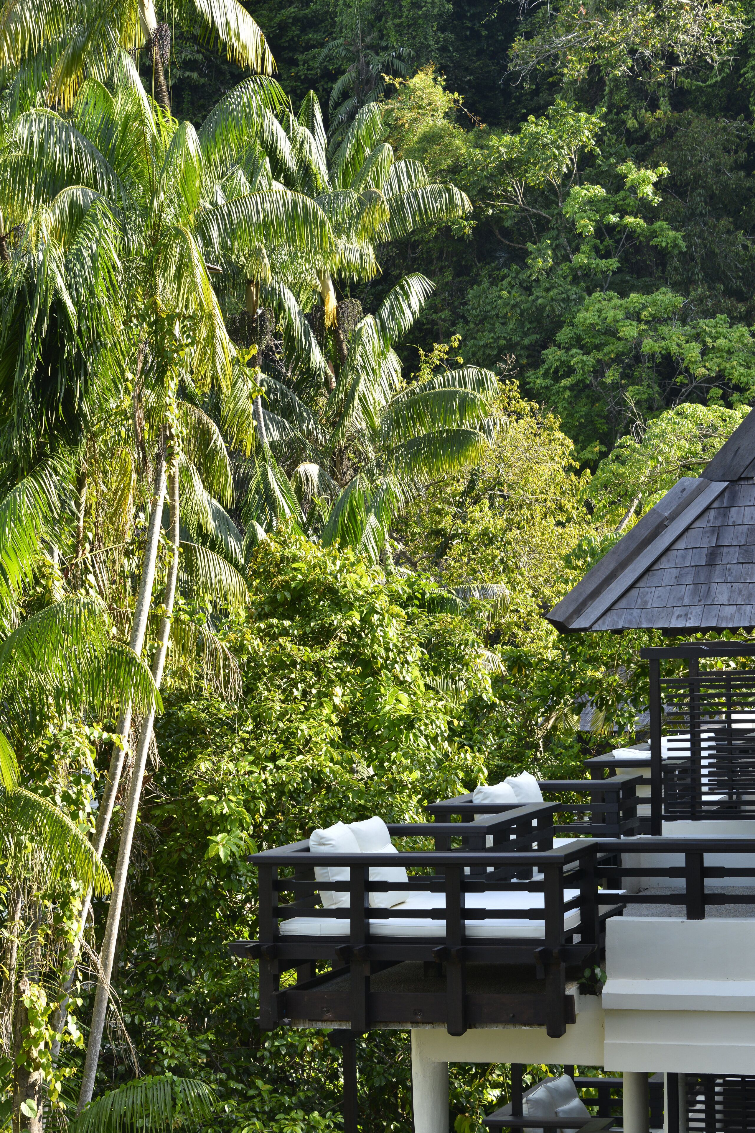 A wooden structure with a roof, surrounded by lush green foliage and palm trees.